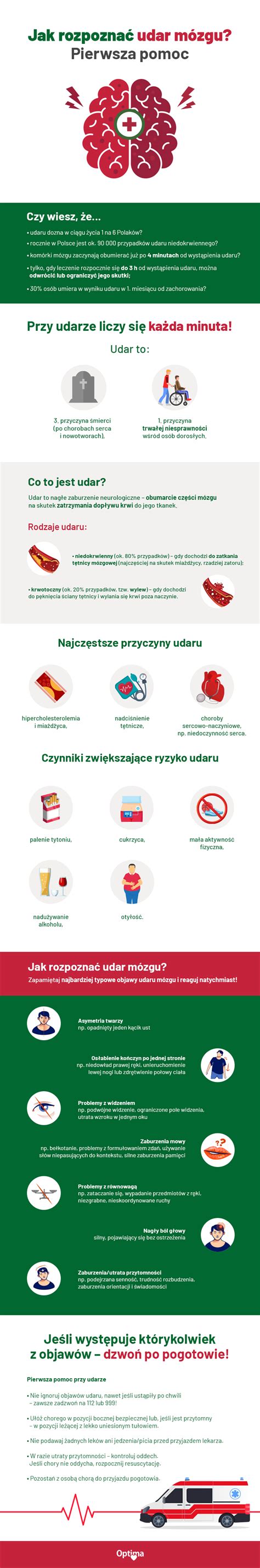 Infografika znázorňujúca vývoj mozgu