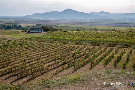 Typická krajina tokajskej oblasti
