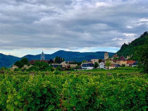 Krásne vinice v slovenskej krajine