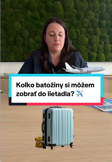 Ilustrácia colného úradníka kontrolujúceho batožinu