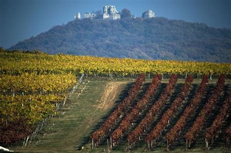 Vinohrady Chateau Topoľčianky