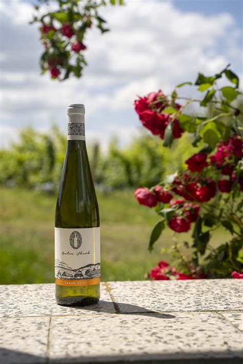 Cibuľa a biele víno v liečivom prípravku