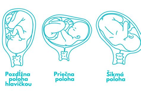 Ilustrácia plodu v maternici s kvapkou alkoholu