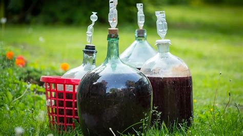 Rôzne typy nádob na kvasenie vína