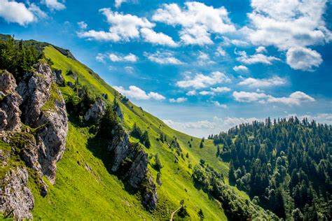 Viničové polia na Slovensku
