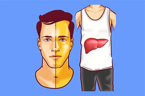 Obrázok znázorňujúci poškodenú pečeň v porovnaní so zdravou