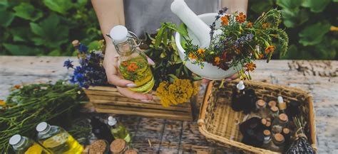 citróny a bylinky na prípravu tinktúry