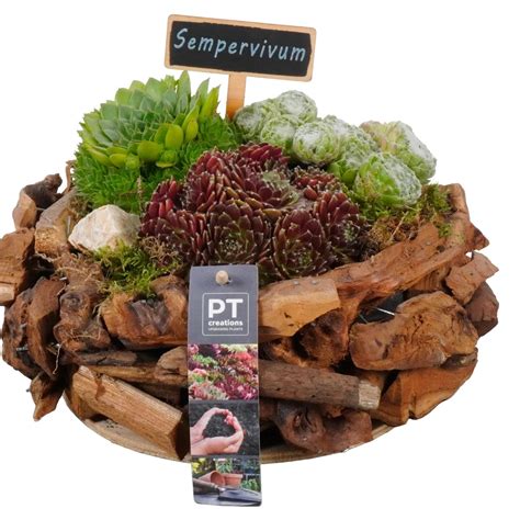 Diagram znázorňujúci proces zrenia destilátu v drevenom sude