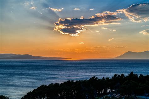 vinice pri západe slnka