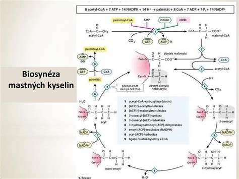 Syntéza terciárneho alkoholu z 4-bromofenolu a ketónu
