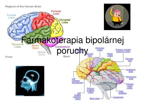 Diagram zobrazujúci rôzne aspekty komplexnej liečby bipolárnej poruchy
