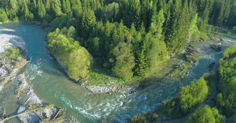 Ilustrácia rieky Demerara