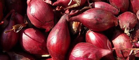 Nakrájaná šalotka