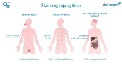 Infografika ukazujúca rôzne štádiá vývoja plodu a vplyv alkoholu